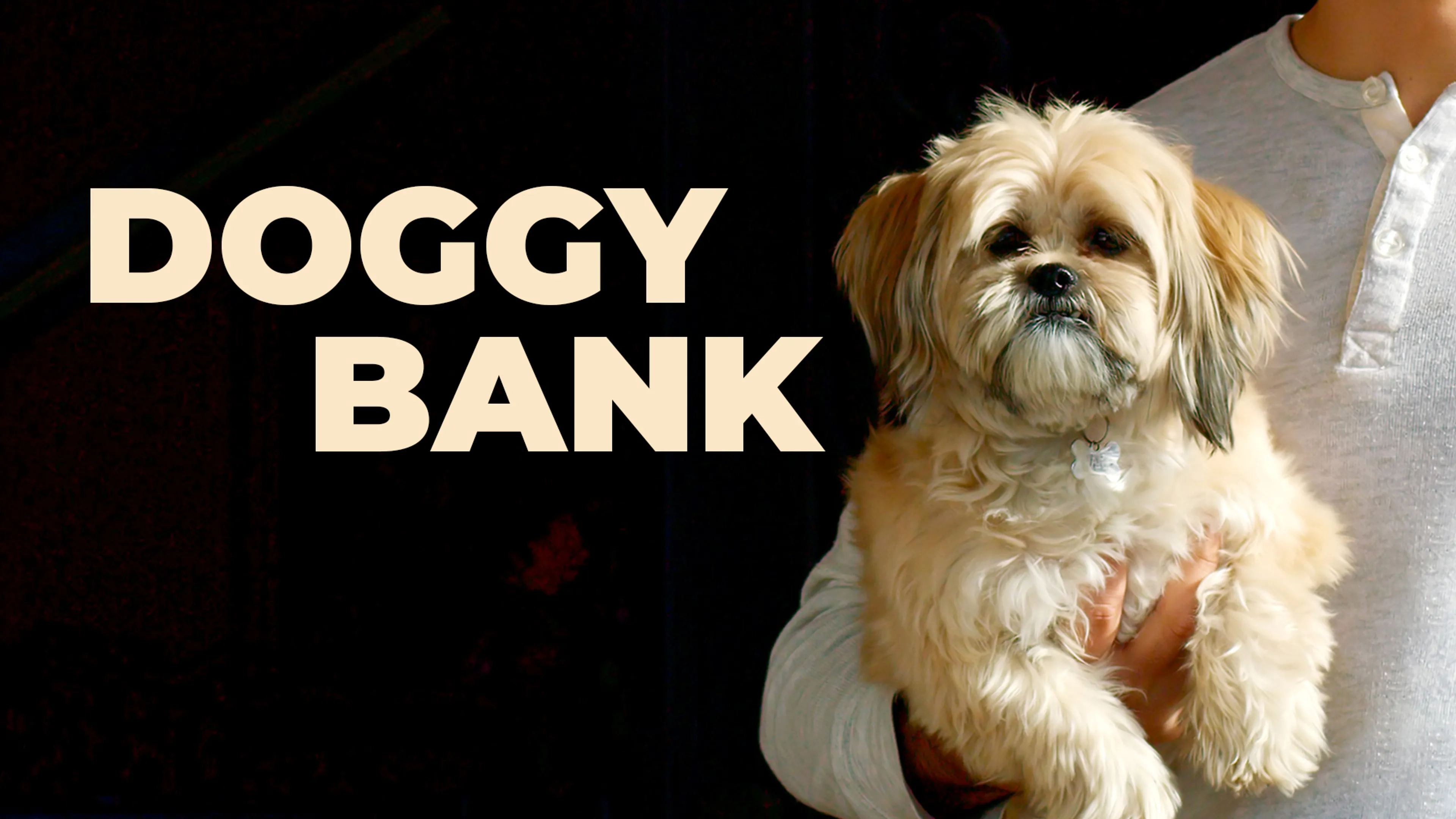 Doggy Bank poster